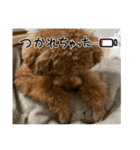 プたろ－スタンプ（個別スタンプ：7）