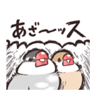 荒ぶる文鳥さん（個別スタンプ：5）