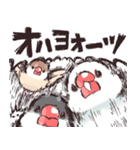 荒ぶる文鳥さん（個別スタンプ：11）