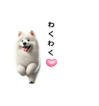 サモエド犬Samoyed dog sticker（個別スタンプ：4）