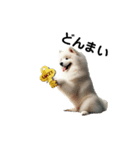 サモエド犬Samoyed dog sticker（個別スタンプ：6）