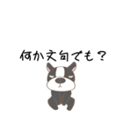 フレンチとくろねこ（個別スタンプ：2）