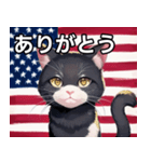 アメリカを愛するネコ（個別スタンプ：3）