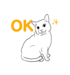 猫_いろいろ（個別スタンプ：3）