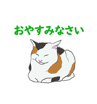 猫_いろいろ（個別スタンプ：7）