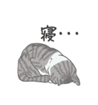 猫_いろいろ（個別スタンプ：8）