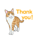 猫_いろいろ（個別スタンプ：9）