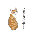 猫_いろいろ（個別スタンプ：10）