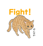 猫_いろいろ（個別スタンプ：12）