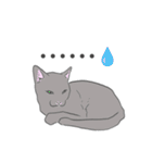 猫_いろいろ（個別スタンプ：14）
