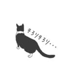 猫_いろいろ（個別スタンプ：16）