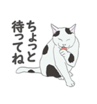猫_いろいろ（個別スタンプ：18）