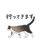 猫_いろいろ（個別スタンプ：19）