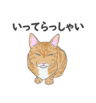 猫_いろいろ（個別スタンプ：20）