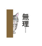 猫_いろいろ（個別スタンプ：21）