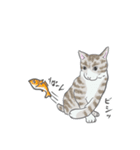 猫_いろいろ（個別スタンプ：23）
