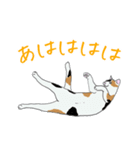 猫_いろいろ（個別スタンプ：24）