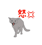 猫_いろいろ（個別スタンプ：25）