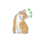 猫_いろいろ（個別スタンプ：30）