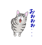猫_いろいろ（個別スタンプ：31）