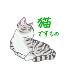 猫_いろいろ（個別スタンプ：32）