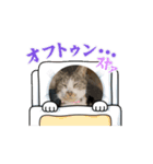 もふっ族スタンプ（個別スタンプ：2）