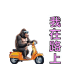 ゴリラ/旧正月・春節（個別スタンプ：37）