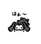 かわいい黒うさぎの日常会話（個別スタンプ：12）
