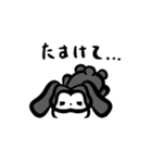 かわいい黒うさぎの日常会話（個別スタンプ：22）