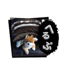 ポメラニアン、ラブの日々⑦（個別スタンプ：34）