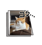 はんぽてむー（個別スタンプ：6）