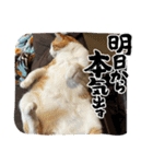 はんぽてむー（個別スタンプ：9）