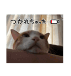 はんぽてむー（個別スタンプ：11）