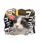 はんぽてむー（個別スタンプ：14）