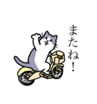 おかんぽいねこのスタンプ（個別スタンプ：5）