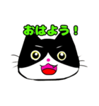 日常で使える単純こねこ【白黒ハチワレ】（個別スタンプ：1）