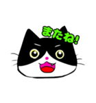 日常で使える単純こねこ【白黒ハチワレ】（個別スタンプ：3）