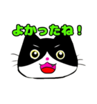 日常で使える単純こねこ【白黒ハチワレ】（個別スタンプ：4）