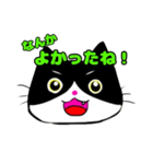 日常で使える単純こねこ【白黒ハチワレ】（個別スタンプ：5）