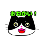 日常で使える単純こねこ【白黒ハチワレ】（個別スタンプ：6）