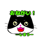 日常で使える単純こねこ【白黒ハチワレ】（個別スタンプ：7）