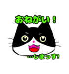 日常で使える単純こねこ【白黒ハチワレ】（個別スタンプ：8）