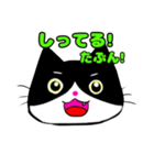 日常で使える単純こねこ【白黒ハチワレ】（個別スタンプ：10）