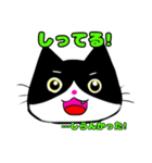 日常で使える単純こねこ【白黒ハチワレ】（個別スタンプ：11）