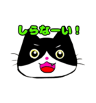 日常で使える単純こねこ【白黒ハチワレ】（個別スタンプ：12）