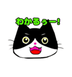 日常で使える単純こねこ【白黒ハチワレ】（個別スタンプ：13）