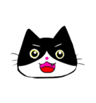 日常で使える単純こねこ【白黒ハチワレ】（個別スタンプ：16）
