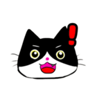 日常で使える単純こねこ【白黒ハチワレ】（個別スタンプ：17）