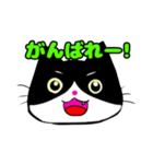 日常で使える単純こねこ【白黒ハチワレ】（個別スタンプ：23）