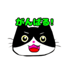 日常で使える単純こねこ【白黒ハチワレ】（個別スタンプ：24）